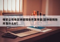 哪家公司有区块链钱包开发项目[区块链钱包开发什么好]