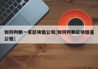 如何判断一家区块链公司[如何判断区块链是公链]